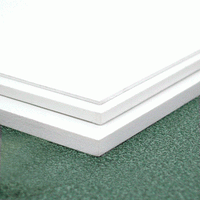 3mm Plastic Signs - 600MM